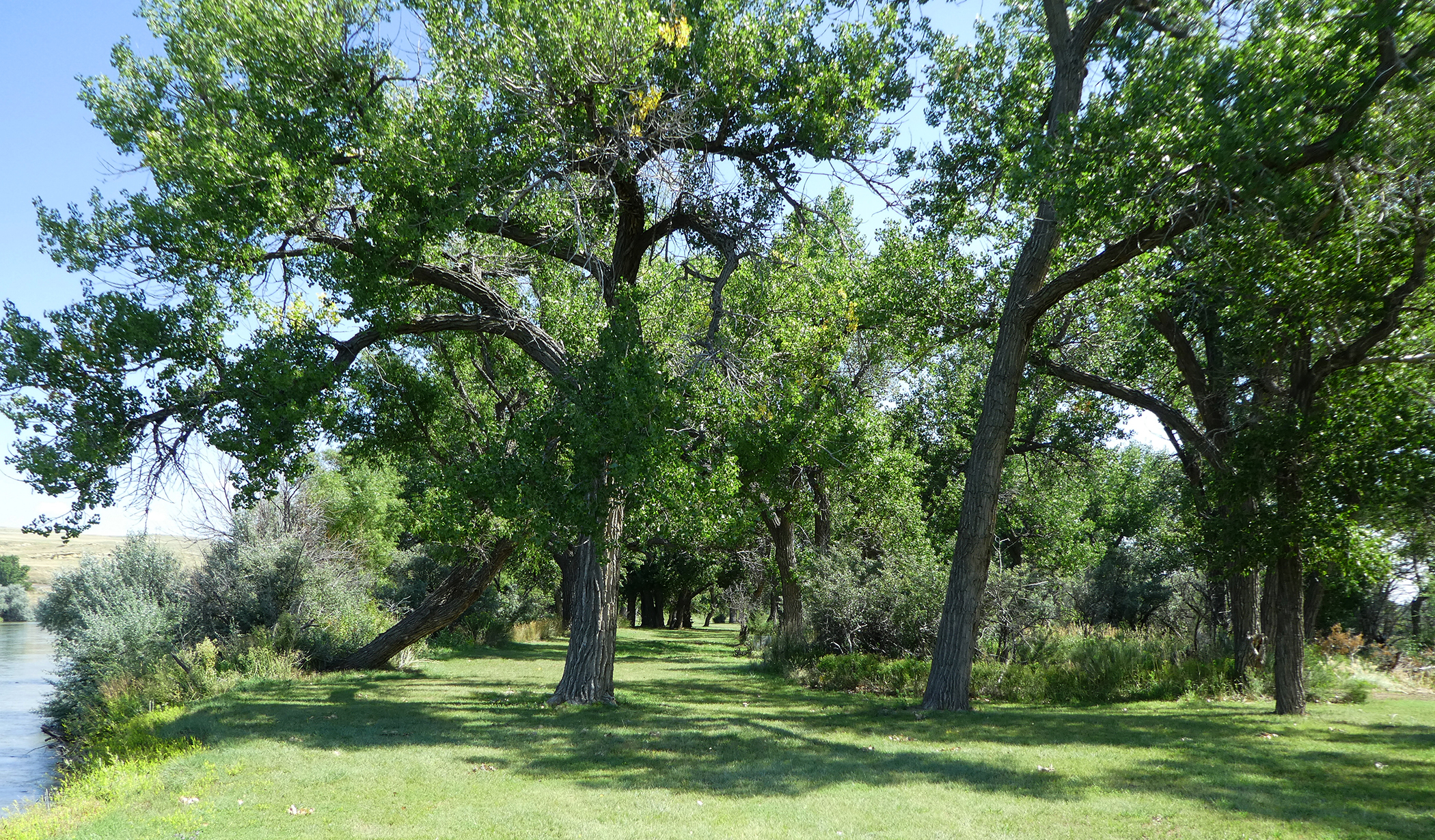 North Platte River Shadowfax on the Road