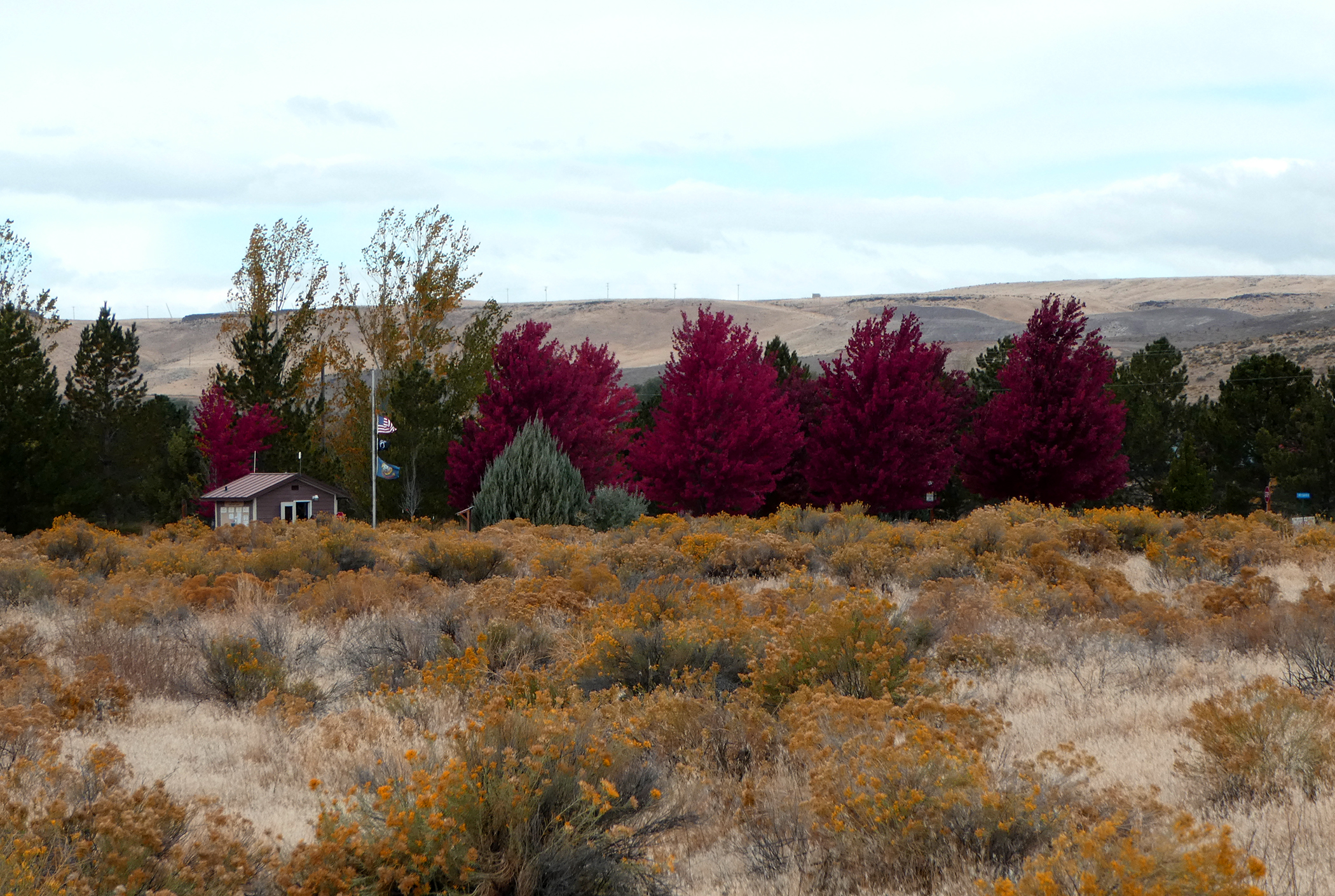 Three Islands State Park Shadowfax on the Road