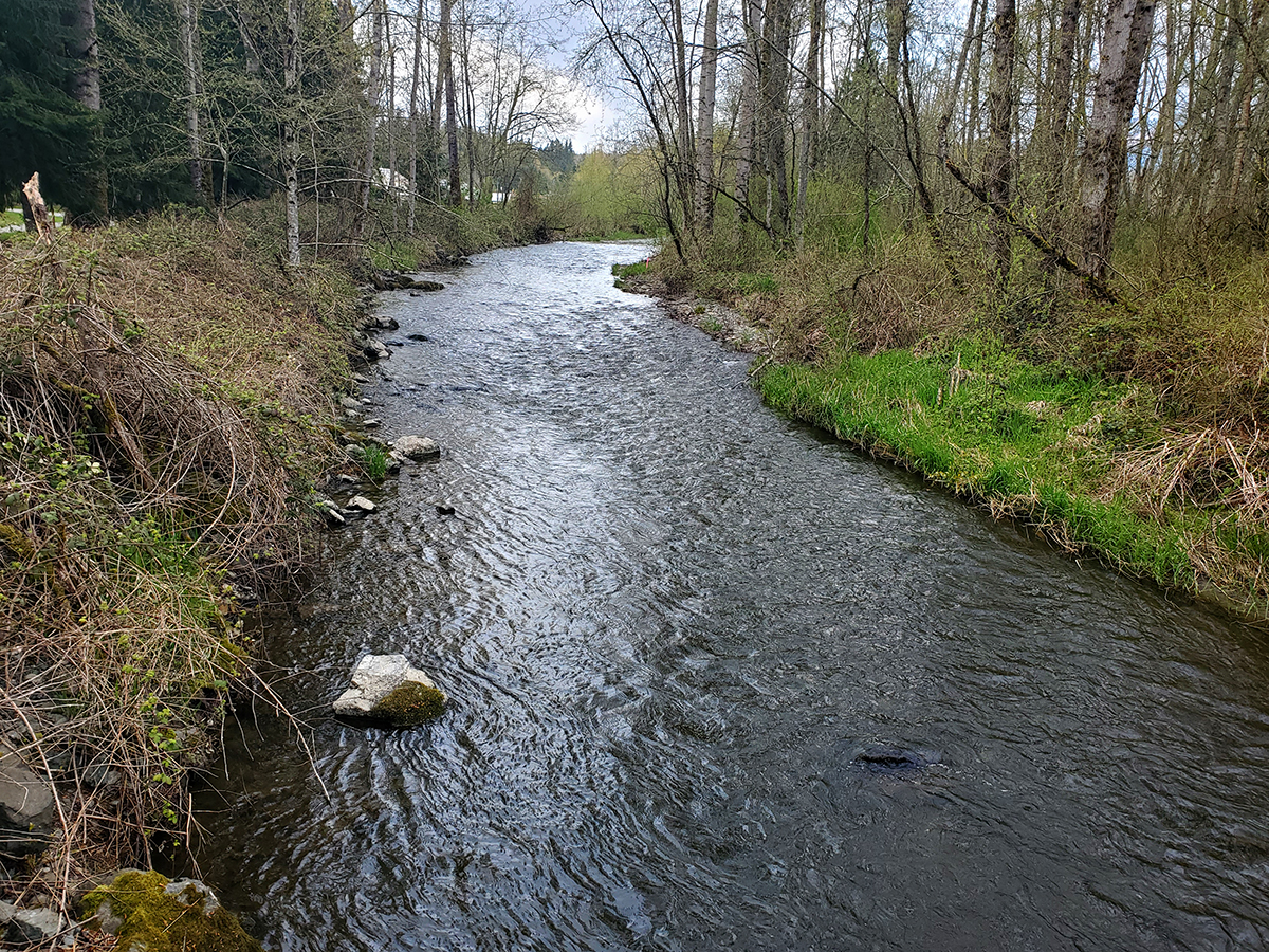 Burlington KOA Shadowfax on the Road