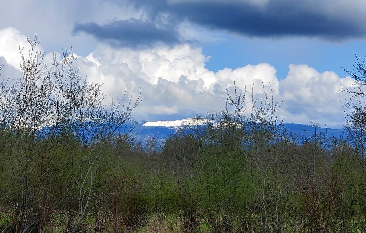 Burlington KOA Shadowfax on the Road